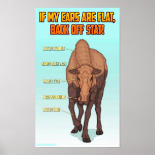 Poster Skriv ut säkerhetsgrafik för Moose Safety