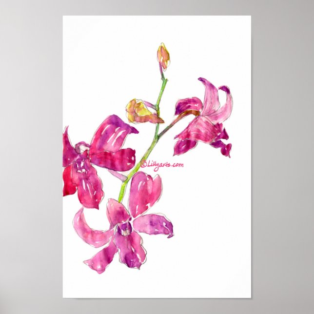 Poster Skriv ut Spädbarn rosa Blommigt    (Framsidan)