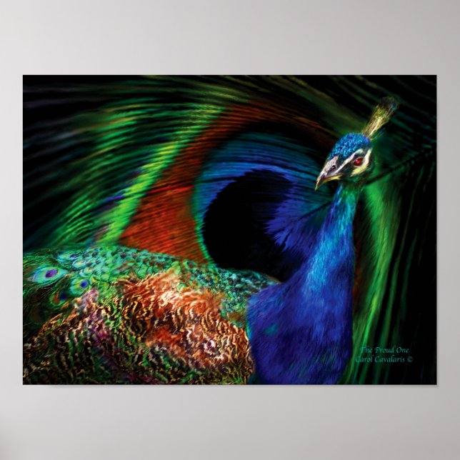 Poster/skriv ut stolt One Peacock Art Poster (Framsidan)