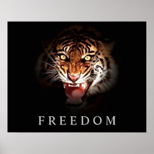 Poster Skriv ut tiger för rörelsemefrihet