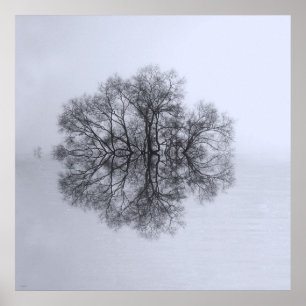 Poster Skriv ut träd i reflektionsbilder