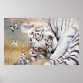 Poster/skriv ut vit tiger Dreams Fine Art Poster