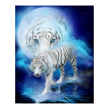 Poster/skriv ut vit tigerkonst i Måne