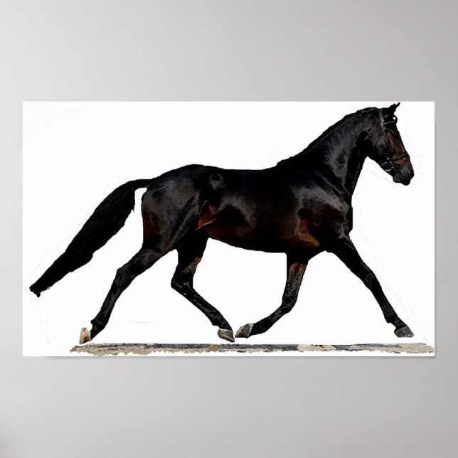 Poster Skriv ut Westfalen Dressage Horse (Framsidan)