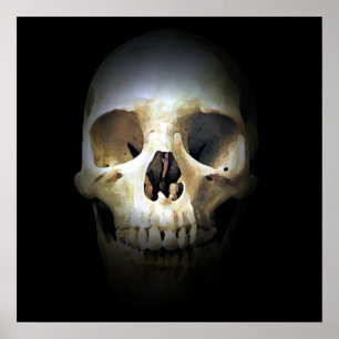 Poster skullutkast - Döskallar Poster utskrifter