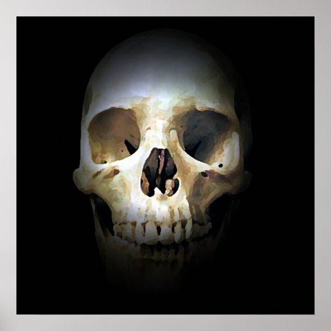 Poster skullutkast - Döskallar Poster utskrifter (Framsidan)