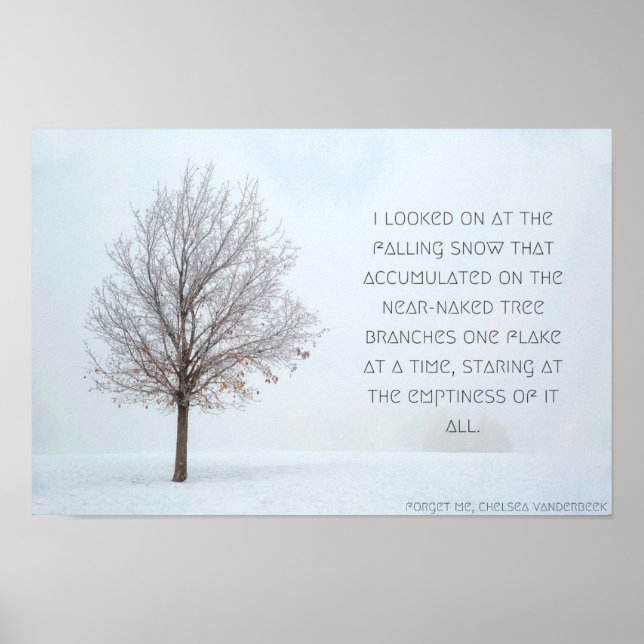 Poster Snö, version 1 (Framsidan)