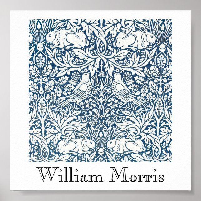 Poster - Sök i Acorns Design 2 (Framsidan)