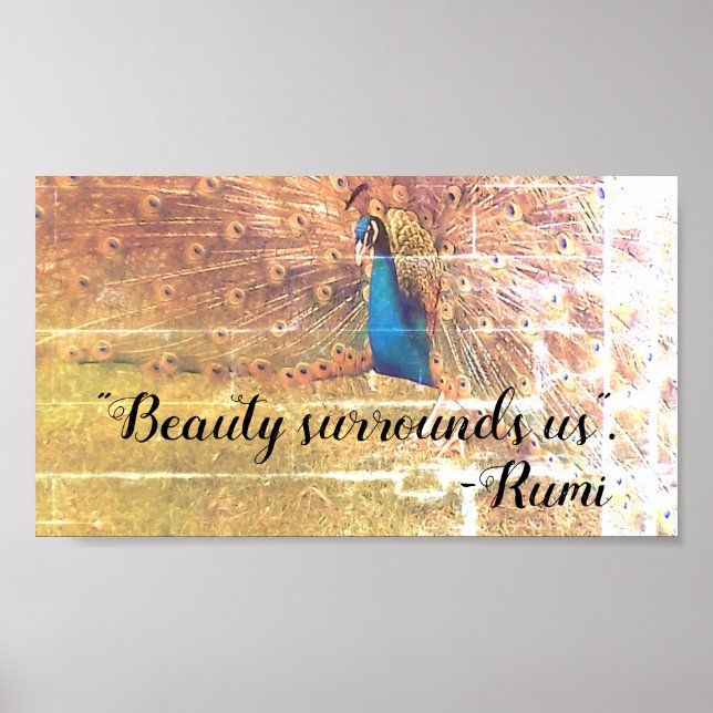 Poster Sokrates-offert (Framsidan)