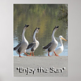 Poster - Sol Loving Geese