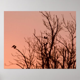 Poster - Soluppgång