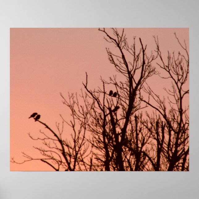 Poster - Soluppgång (Framsidan)