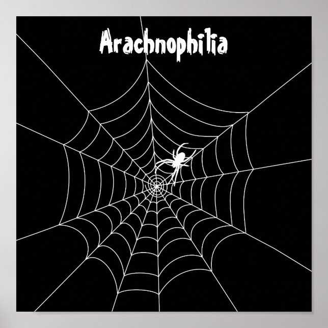 Poster spindelnät (Framsidan)