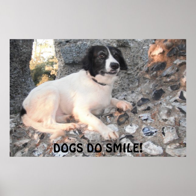 Poster Sprollie Visiting Castle Smiling (Framsidan)