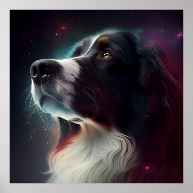 Poster stjärna-hund (Framsidan)