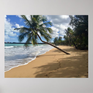 poster strand