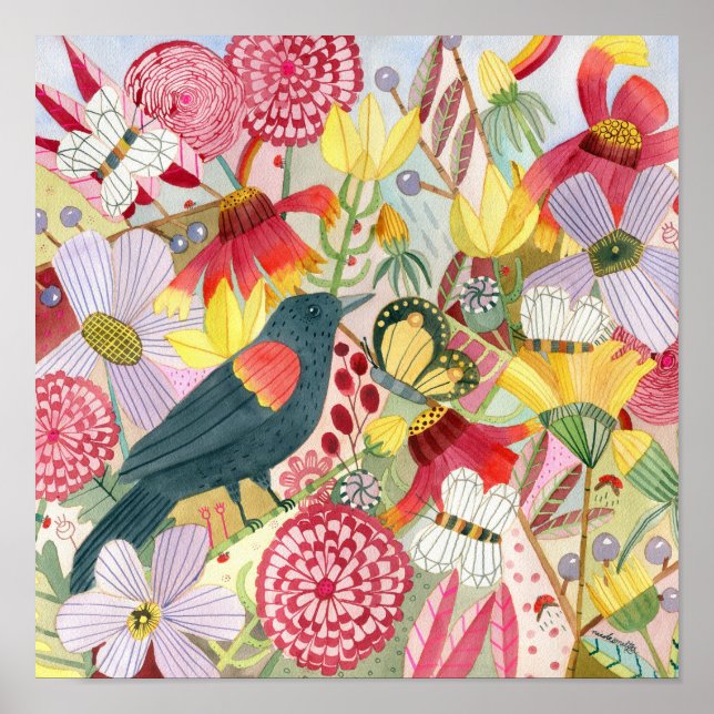 Poster svartvingad bläckfisk/ängsgröda (Framsidan)