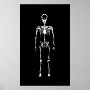Poster - svartvit X-Ray Vision med en Skeleton