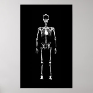 Poster - svartvit X-Ray Vision med en Skeleton