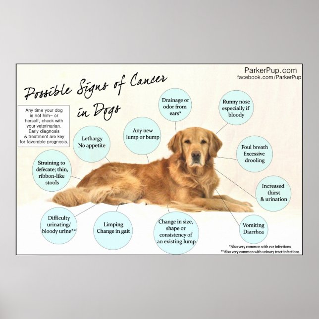 Poster tecken på cancer (Framsidan)