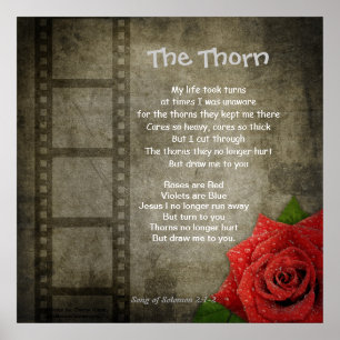 Poster - Thorn