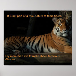 Poster tiger-citat