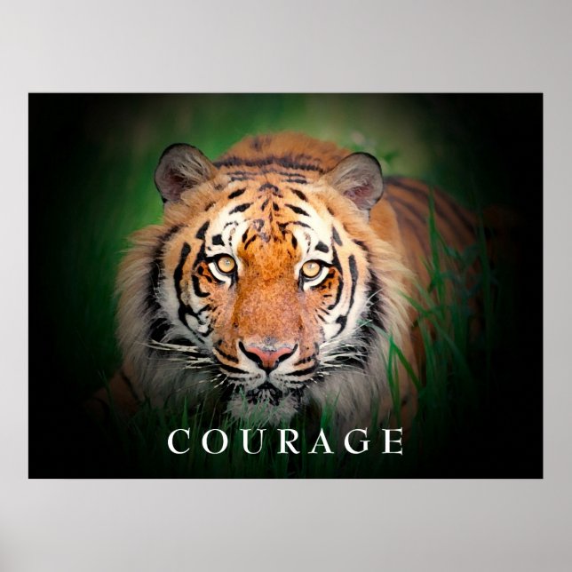 Poster tiger för motivational Courage (Framsidan)