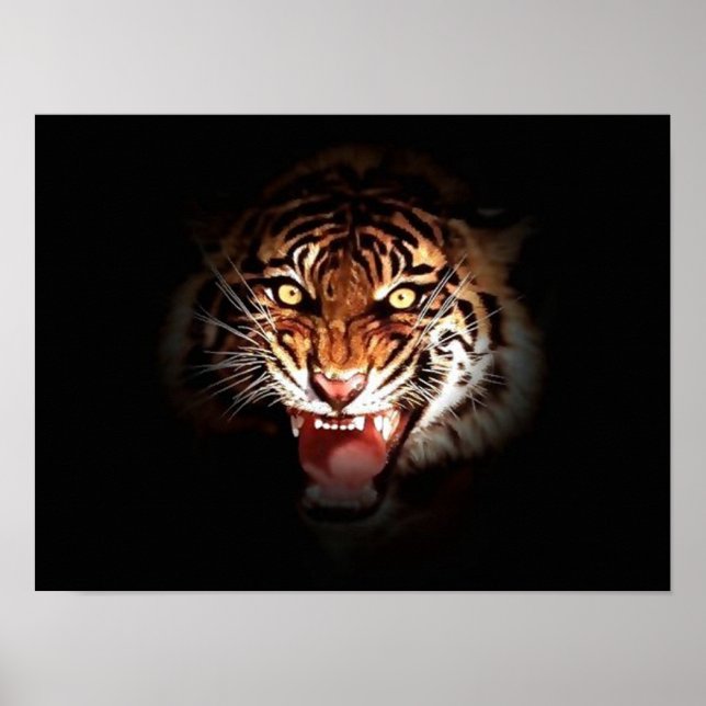 Poster tiger för motivational Couring Raring (Framsidan)