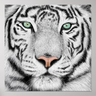 Poster tigerprofil
