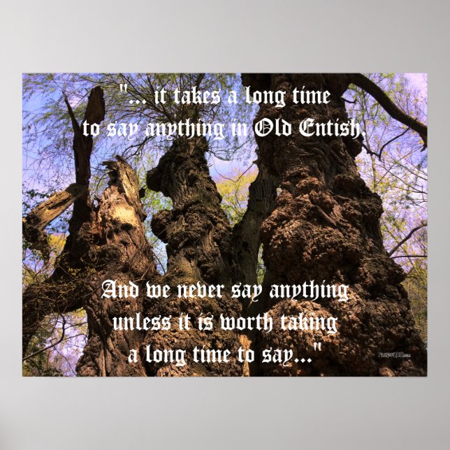 Poster - Träd med Ent Quote (Framsidan)