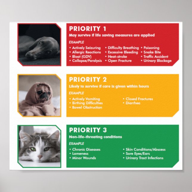 Poster triage (Framsidan)