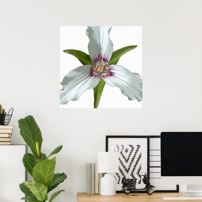 Poster Trillium Vår Wildblomma (Hemmakontoret)