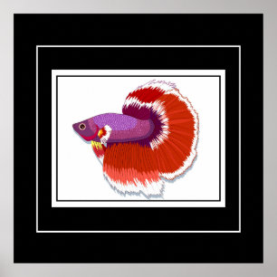 Poster tropiska fiskar