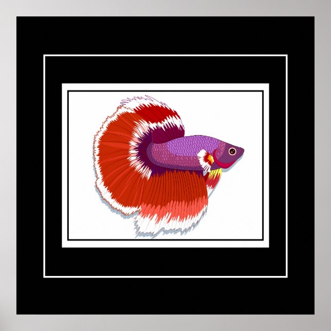 Poster tropiska fiskar (Framsidan)