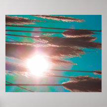 Poster "TurcosMidday"