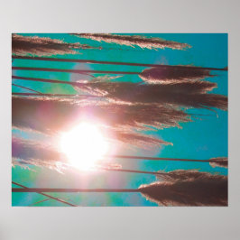 Poster "TurcosMidday"