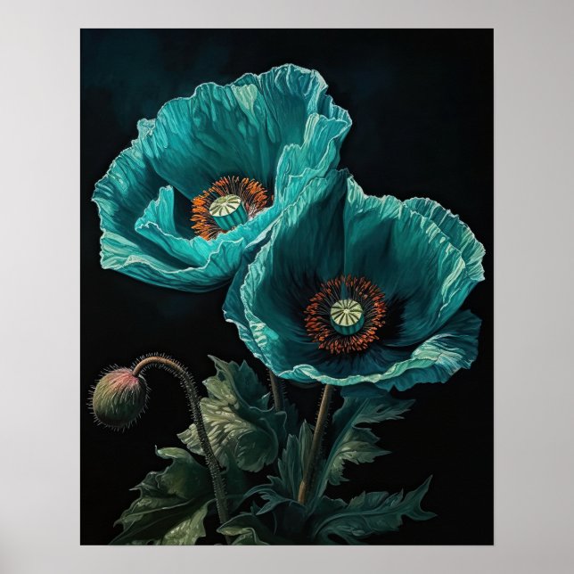 Poster turkos Poppy Flowers Art Skriv ut (Framsidan)