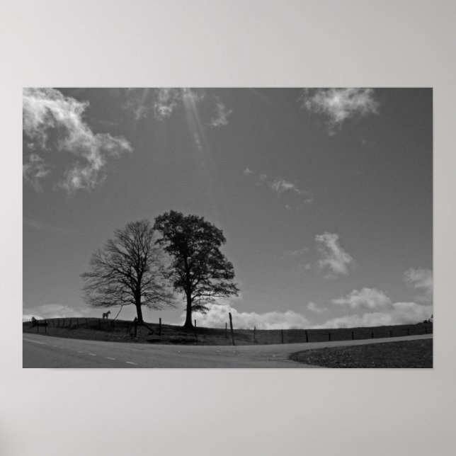 Poster Twin Träd Mountain Meadow (Framsidan)