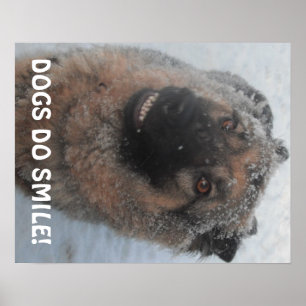 Poster tyska shepherd i Snö-leende