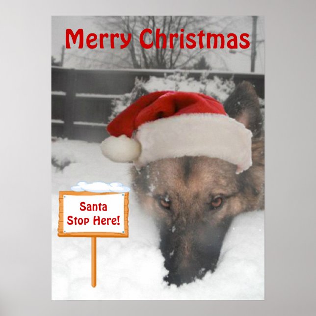 Poster tyska Shepherd Santa Stop here-skylt (Framsidan)