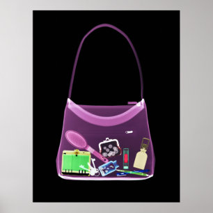 POSTER - URSPRUNGLIG X-RAY-ROSA