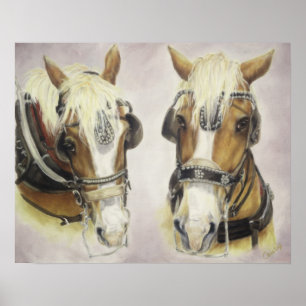 Poster utkasthästar