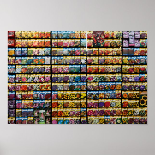 Poster utsädespaket (Framsidan)