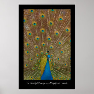 Poster utskrift