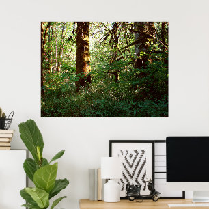 Poster utskrift av ändrad skog