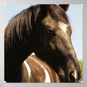 Poster utskrift av avsändarutkast