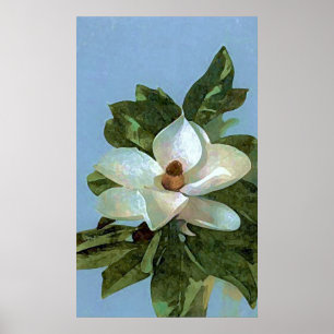 Poster utskrift av Blommarna Magnolia Flower