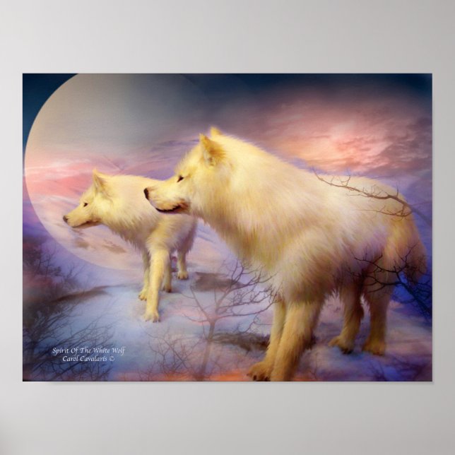 Poster/utskrift av den vita Vargen Poster (Framsidan)