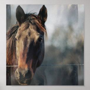 Poster utskrift av Mustang Horse