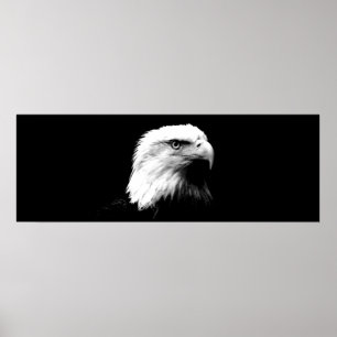 Poster utskrift av panoramabisk Örn-amerikansk Eag